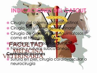 INDICACIONES DEL CATGUT
Cirugía del sistema gastrointestinal.
 Cirugía del sistema genitourinario
 Cirugía de órganos parenquimatosos l
como el hígado y riñón.
 Ligaduras del vasos sanguíneos.
 Fascias y suturas subcutáneas.
Contraindicaciones
 Sutura en piel, cirugía cardiovascular o
neurocirugía


 