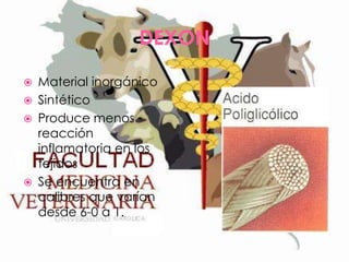 DEXON






Material inorgánico
Sintético
Produce menos
reacción
inflamatoria en los
tejidos
Se encuentra en
calibres que varían
desde 6-0 a 1.

 