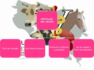 VENTAJAS
DEL DEXON

Fácil de manejar

Alta fuerza tensora

Absorción uniforme
y previsible

No es capilar y
Fácil de esterilizar

 