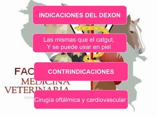 INDICACIONES DEL DEXON

Las mismas que el catgut,
Y se puede usar en piel

CONTRINDICACIONES

Cirugía oftálmica y cardiovascular

 