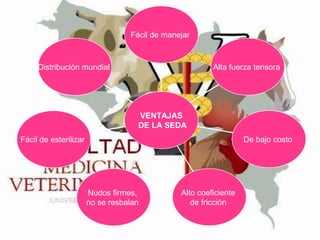 Fácil de manejar

Alta fuerza tensora

Distribución mundial

VENTAJAS
DE LA SEDA
De bajo costo

Fácil de esterilizar

Nudos firmes,
no se resbalan

Alto coeficiente
de fricción

 