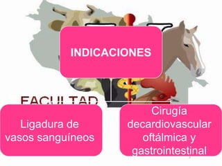 INDICACIONES

Ligadura de
vasos sanguíneos

Cirugía
decardiovascular
oftálmica y
gastrointestinal

 