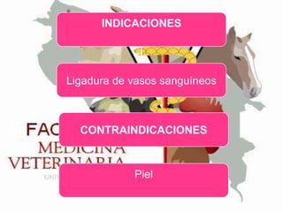 INDICACIONES

Ligadura de vasos sanguíneos

CONTRAINDICACIONES

Piel

 
