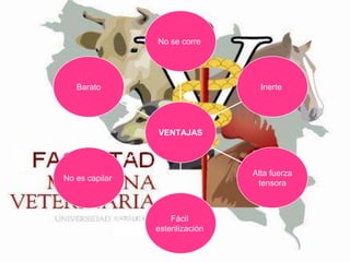 No se corre

Inerte

Barato

VENTAJAS

Alta fuerza
tensora

No es capilar

Fácil
esterilización

 