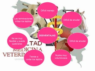 Difícil manejo

Las terminaciones
irritan los tejidos

Difícil de anudar

DESVENTAJAS
No es muy
flexible y puede
quebrarse

Difícil de anudar

Tiende a
cortar los tejidos

Nudos muy
voluminosos

 