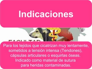 Indicaciones

Para los tejidos que cicatrizan muy lentamente,
sometidos a tensión intensa (Tendones),
cápsulas articulares o esquirlas óseas.
Indicado como material de sutura
para heridas contaminadas.

 