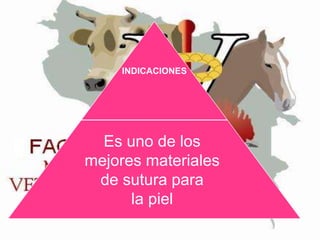 INDICACIONES

Es uno de los
mejores materiales
de sutura para
la piel

 