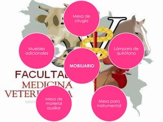 Mesa de
cirugía

Muebles
adicionales

Lámpara de
quirófano

MOBILIARIO

Mesa de
material
auxiliar

Mesa para
instrumental

 