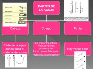 PARTES DE
LA AGUJA

Cabeza

Cuerpo

Punta

Parte de la aguja
donde pasa el
material de sutura

Se encuentra entre la
cabeza y punta,
puede ser de
forma circular,Triangular,
aplanado no de trapecio

Hay varios tipos

 