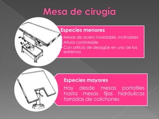 Especies menores
• Mesas de acero inoxidable, inclinables
• Altura controlable
• Con orificio de desagüe en uno de los
extremos

Especies mayores

Hay desde mesas portatiles
hasta mesas fijas hidráulicas
forradas de colchones

 