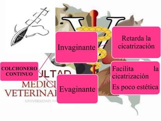 Invaginante

Retarda la
cicatrización
Facilita
la
cicatrización

COLCHONERO
CONTINUO

Evaginante

Es poco estética

 