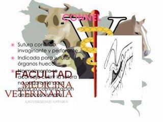 CONNEL
Sutura continua,
invaginante y perforante
 Indicada para suturar
órganos huecos
 Normalmente se
aconseja cubrir la sutura
no perforante para
evitar la comunicación
de mucosa serosa


 