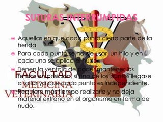 SUTURAS INTERRUMPIDAS







Aquellas en que cada punto cierra parte de la
herida
Para cada punto se ha de usar un hilo y en
cada uno se aplica el nudo
Tienen la ventaja de poder mantener los
tejidos en posición, si uno de los puntos llegase
a fallar ya que cada punto es independiente.
Requiere más tiempo realizarlo y no deja
material extraño en el organismo en forma de
nudo.

 