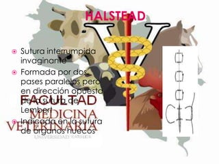 HALSTEAD





Sutura interrumpida
invaginante
Formada por dos
pases paralelos pero
en dirección opuesta
de la sutura de
Lembert
Indicada en la sutura
de órganos huecos

 