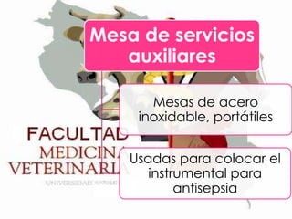 Mesa de servicios
auxiliares
Mesas de acero
inoxidable, portátiles
Usadas para colocar el
instrumental para
antisepsia

 