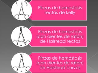 Pinzas de hemostasis
rectas de kelly

Pinzas de hemostasis
(con dientes de ratón)
de Halstead rectas

Pinzas de hemostasis
(con dientes de ratón)
de Halstead curvas

 