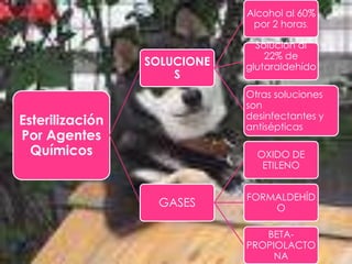 Alcohol al 60%
por 2 horas.

SOLUCIONE
S

Solución al
22% de
glutaraldehído
.

Otras soluciones
son
desinfectantes y
antisépticas

Esterilización
Por Agentes
Químicos

OXIDO DE
ETILENO

GASES

FORMALDEHÍD
O
BETAPROPIOLACTO
NA

 