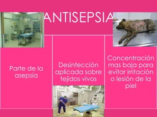 ANTISEPSIA

Parte de la
asepsia

Concentración
Desinfección
mas baja para
aplicada sobre evitar irritación
o lesión de la
tejidos vivos
piel

 