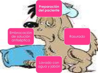 Preparación
del paciente

Embrocación
de solución
antiséptica

Rasurado

Lavado con
agua y jabón

 