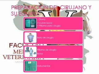 . Gorra
• Cubre boca
• Pillama para cirugía

Bata de cirugía

Pillama de cirugía
Botas

Instrumental

 