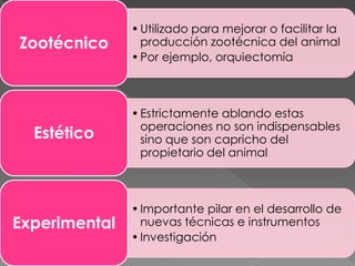 Zootécnico

• Utilizado para mejorar o facilitar la
producción zootécnica del animal
• Por ejemplo, orquiectomía

Estético

• Estrictamente ablando estas
operaciones no son indispensables
sino que son capricho del
propietario del animal

Experimental

• Importante pilar en el desarrollo de
nuevas técnicas e instrumentos
• Investigación

 