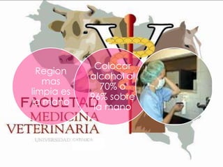 Region
mas
limpia es
la mano

Colocar
alcohol al
70% o
96% sobre
la mano

 