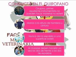 Cirujano, primer
ayudante,instrumentista no
pueden tocar material no esteril

Manos a la altura de hombros y
cintura

Nunca dar la espalda a una
superficie esteril

Al cruzarse deben hacerlo ya
sea los dos de frente o los dos
de espaldas

 