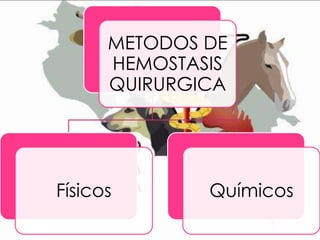 METODOS DE
HEMOSTASIS
QUIRURGICA

Físicos

Químicos

 