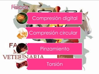 Compresión digital
Compresión circular
Pinzamiento
Torsión

 