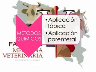 •Aplicación
tópica
METODOS •Aplicación
QUIMICOS parenteral

 