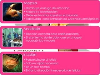 Asepsia
• Disminuye el riesgo de infección
• Mejora l a cicatrización
• Debe evitar irritar la piel en el rasurado
• Adecuada concentración de sustancias antisépticas

Anestesia
• Elección correcta para cada paciente
• Si el enfermo siente dolor cae en choque
neurogénico y muere

Incisión
• Perpendicular al tejido
• Solo en tejido necesario
• En un solo tiempo
• Evitar la disección innecesaria de tejidos

 