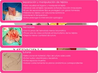 Separación y manipulación de tejidos
•Para visualizar el órgano y manipular el tejido
•Abarcar solo el tejido necesario evitando tracción innecesaria
•El uso de separadores fijos se protegerá con gasas húmedas
•Hidratar los tejidos con soluciones isotónicas
•Mantener la temperatura
•Evitar prolongar la intervención quirúrgica

Hematosis
•Usar la pinza de hematosis menos traumática
•Pinzar solo los vasos evitando el traumatismo de los tejidos
•Dejar la menor cantidad de sutura

Suturas
•Seleccionar el material y tipo de sutura adecuada
•Evitar nudos voluminosos y excesivos
•Evitar espacios muertos
•Adosar correctamente los planos anatómicos correspondientes

 