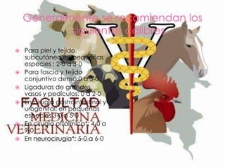 Generalmente se recomiendan los
siguientes calibres









Para piel y tejido
subcutáneo en pequeñas
especies : 2-0 a 3-0
Para fascia y tejido
conjuntivo denso:0 a 3-0
Ligaduras de grandes
vasos y pedículos: 0 a 2-0
En cirugía gastrointestinal y
urogenital; en pequeñas
especies 3-0 a 5-0
En cirugía oftálmica*: 4-0 a
9-0
En neurocirugía*: 5-0 a 6-0

 