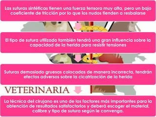 Las suturas sintéticas tienen una fuerza tensora muy alta, pero un bajo
coeficiente de fricción por lo que los nudos tienden a resbalarse

El tipo de sutura utilizado también tendrá una gran influencia sobre la
capacidad de la herida para resistir tensiones

Suturas demasiado gruesas colocadas de manera incorrecta, tendrán
efectos adversos sobre la cicatrización de la herida

La técnica del cirujano es uno de los factores más importantes para la
obtención de resultados satisfactorios y deberá escoger el material,
calibre y tipo de sutura según le convenga.

 
