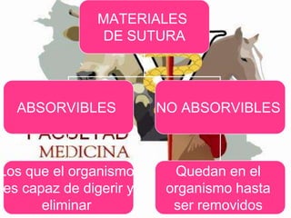 MATERIALES
DE SUTURA

ABSORVIBLES

NO ABSORVIBLES

Los que el organismo
es capaz de digerir y
eliminar

Quedan en el
organismo hasta
ser removidos

 