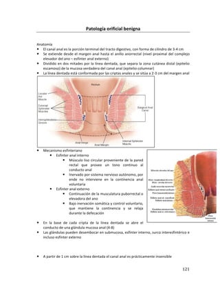 ! 121!
Patología(orificial(benigna(
*
*
Anatomía*
! El*canal*anal*es*la*porción*terminal*del*tracto*digestivo,*con*forma*de*cilindro*de*3b4*cm*
! Se*extiende*desde*el*margen*anal*hasta*el*anillo*anorrectal*(nivel*proximal*del*complejo*
elevador*del*ano*–*esfínter*anal*externo)*
! Dividido*en*dos*mitades*por*la*línea*dentada,*que*separa*la*zona*cutánea*distal*(epitelio*
escamoso)*de*la*mucosa*verdadera*del*canal*anal*(epitelio*columnar)*
! La*línea*dentada*está*conformada*por*las*criptas*anales*y*se*sitúa*a*2b3*cm*del*margen*anal*
*
! Mecanismo*esfinteriano*
! Esfínter*anal*interno*
! Músculo*liso*circular*proveniente*de*la*pared*
rectal* que* provee* un* tono* continuo* al*
conducto*anal*
! Inervado*por*sistema*nervioso*autónomo,*por*
ende* no* interviene* en* la* continencia* anal*
voluntaria*
! Esfínter*anal*externo*
! Continuación*de*la*musculatura*puborrectal*o*
elevadora*del*ano*
! Bajo*inervación*somática*y*control*voluntario,*
que* mantiene* la* continencia* y* se* relaja*
durante*la*defecación*
*
! En* la* base* de* cada* cripta* de* la* línea* dentada* se* abre* el*
conducto*de*una*glándula*mucosa*anal*(4b8)*
! Las*glándulas*pueden*desembocar*en*submucosa,*esfínter*interno,*surco*interesfintérico*e*
incluso*esfínter*externo*
*
*
*
! A*partir*de*1*cm*sobre*la*línea*dentada*el*canal*anal*es*prácticamente*insensible*
 