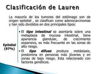 Clasificación de Lauren
   La mayoría de los tumores del estómago son de
   origen epitelial , se clasifican como adenocarcinomas
   y han sido divididos en dos principales tipos:

          • El tipo intestinal se asentaría sobre una
            metaplasia de mucosa intestinal, tiene
            apariencia    glandular,  de     crecimiento
 Origen
            expansivo, es más frecuente en las zonas de
Epitelial
            alto riesgo.
 (97%)
          • El    tipo difuso produce metástasis,
            predomina en personas más jóvenes y en
            zonas de bajo riesgo. Esta relacionado con
            factores genéticos.
 