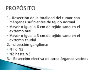 1.-Resección de la totalidad del tumor con
  márgenes suficientes de tejido normal
 Mayor o igual a 6 cm de tejido sano en el
  extremo oral
 Mayor o igual a 3 cm de tejido sano en el
  extremo caudal
2.- disección ganglionar
 N1 o N2
 N2 hasta N3

3.- Resección electiva de otros órganos vecinos
 