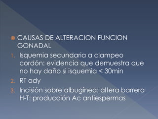 CAUSAS DE ALTERACION FUNCION
GONADAL
1. Isquemia secundaria a clampeo
cordón: evidencia que demuestra que
no hay daño si isquemia < 30min
2. RT ady
3. Incisión sobre albugínea: altera barrera
H-T: producción Ac antiespermas
 