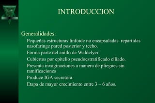 INTRODUCCION

Generalidades:
  Pequeñas estructuras linfoide no encapsuladas repartidas
  nasofaringe pared posterior y techo.
  Forma parte del anillo de Waldelyer.
  Cubiertos por epitelio pseudoestratificado ciliado.
  Presenta invaginaciones a manera de pliegues sin
  ramificaciones
  Produce IGA secretora.
  Etapa de mayor crecimiento entre 3 – 6 años.
 