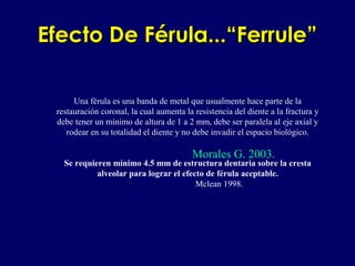 Efecto De Férula...“Ferrule”Efecto De Férula...“Ferrule”
Una férula es una banda de metal que usualmente hace parte de la
restauración coronal, la cual aumenta la resistencia del diente a la fractura y
debe tener un mínimo de altura de 1 a 2 mm, debe ser paralela al eje axial y
rodear en su totalidad el diente y no debe invadir el espacio biológico.
Se requieren mínimo 4.5 mm de estructura dentaria sobre la cresta
alveolar para lograr el efecto de férula aceptable.
Mclean 1998.
Morales G. 2003.
 