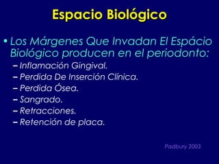 Espacio BiológicoEspacio Biológico
• Los Márgenes Que Invadan El Espácio
Biológico producen en el periodonto:
– Inflamación Gingival.
– Perdida De Inserción Clínica.
– Perdida Ósea.
– Sangrado.
– Retracciones.
– Retención de placa.
Padbury 2003
 