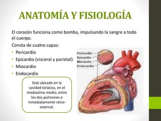 ANATOMÍA Y FISIOLOGÍA
El corazón funciona como bomba, impulsando la sangre a todo
el cuerpo.
Consta de cuatro capas:
• Pericardio
• Epicardio (visceral y parietal)
• Miocardio
• Endocardio
Está ubicado en la
cavidad torácica, en el
mediastino medio, entre
los dos pulmones e
inmediatamente retro-
esternal.
 