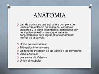 ANATOMIA
O La raíz aortica es una estructura compleja de
unión entre el tracto de salida del ventrículo
izquierdo y la aorta ascendente, compuesta por
las siguientes estructuras, que trabajan
conjuntamente para lograr el funcionamiento
normal de la válvula:
O Unión aortoventricular
O Triángulos intervalvares
O La zona de inserción de las valvas y las comisuras
O Valvas Aórticas
O Los senos de Valsalva
O Unión sinotubular
 