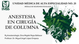 ANESTESIA
EN CIRUGÍA
DE COLUMNA
R3 Anestesiología: Dina Migdet Rojas Baltazar
Profesor: Dr. Miguel ángel López Oropeza
UNIDAD MÉDICA DE ALTA ESPECIALIDAD NO. 25
MÓDULO DE NEUROANESTESIOLOGÍA
 