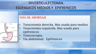 DIVERTICULECTOMIA.
ESOFAGICOS MEDIOS Y EPIFRENICOS
VIAS DE ABORDAJE
• Toracotomía derecha. Mas usada para medios
• Toracotomía izquierda. Mas usada para
epifrenicos
• Toracoscopia.
• Via abdominal. Epifrénicos
 