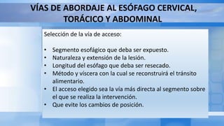 Selección de la vía de acceso:
• Segmento esofágico que deba ser expuesto.
• Naturaleza y extensión de la lesión.
• Longitud del esófago que deba ser resecado.
• Método y víscera con la cual se reconstruirá el tránsito
alimentario.
• El acceso elegido sea la vía más directa al segmento sobre
el que se realiza la intervención.
• Que evite los cambios de posición.
VÍAS DE ABORDAJE AL ESÓFAGO CERVICAL,
TORÁCICO Y ABDOMINAL
 