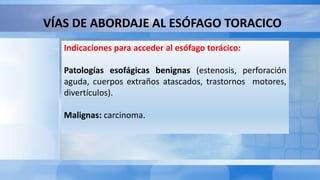 VÍAS DE ABORDAJE AL ESÓFAGO TORACICO
Indicaciones para acceder al esófago torácico:
Patologías esofágicas benignas (estenosis, perforación
aguda, cuerpos extraños atascados, trastornos motores,
divertículos).
Malignas: carcinoma.
 