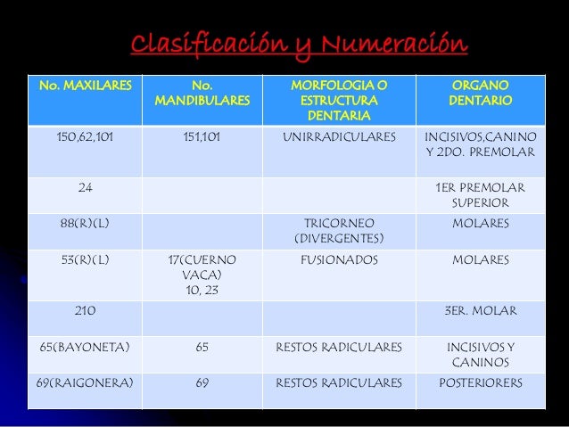 Resultado de imagen para forceps dentales numeracion