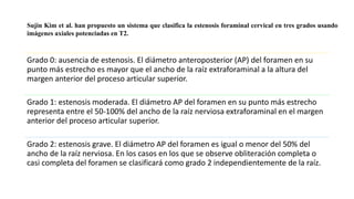 Grado 0: ausencia de estenosis. El diámetro anteroposterior (AP) del foramen en su
punto más estrecho es mayor que el ancho de la raíz extraforaminal a la altura del
margen anterior del proceso articular superior.
Grado 1: estenosis moderada. El diámetro AP del foramen en su punto más estrecho
representa entre el 50-100% del ancho de la raíz nerviosa extraforaminal en el margen
anterior del proceso articular superior.
Grado 2: estenosis grave. El diámetro AP del foramen es igual o menor del 50% del
ancho de la raíz nerviosa. En los casos en los que se observe obliteración completa o
casi completa del foramen se clasificará como grado 2 independientemente de la raíz.
Sujin Kim et al. han propuesto un sistema que clasifica la estenosis foraminal cervical en tres grados usando
imágenes axiales potenciadas en T2.
 